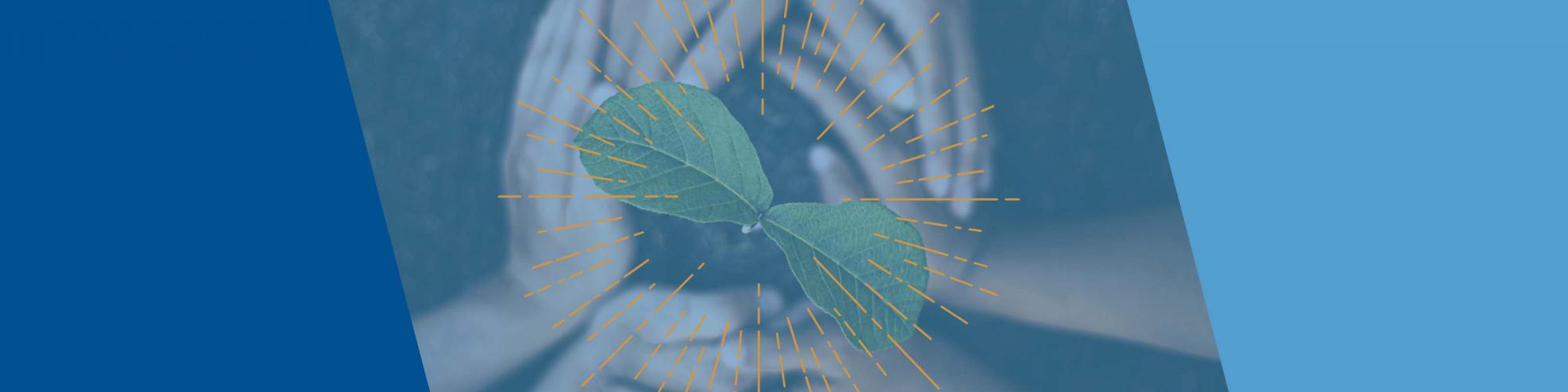 Planting seeds header